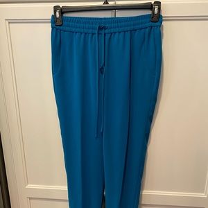 Jcrew pant